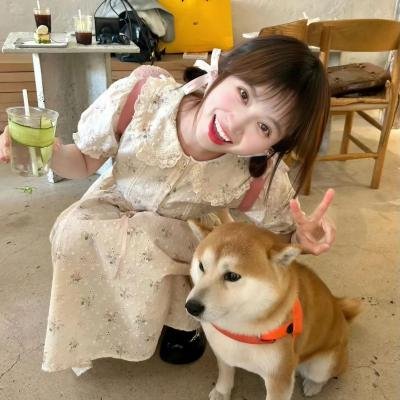 狐狸与我国语海报